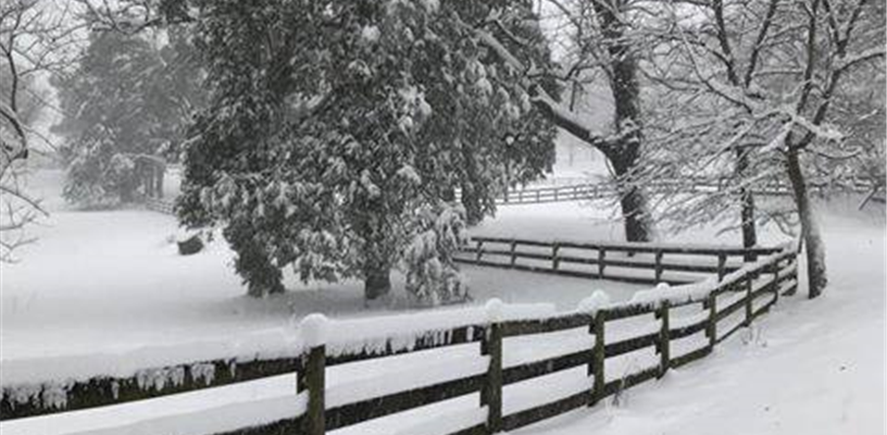 Forsyth County opens at 10 a.m., parks are closed, all library branches will open on delay