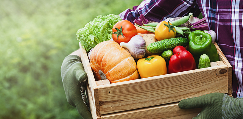 Wellness Produce Box Program Begins Again in January!